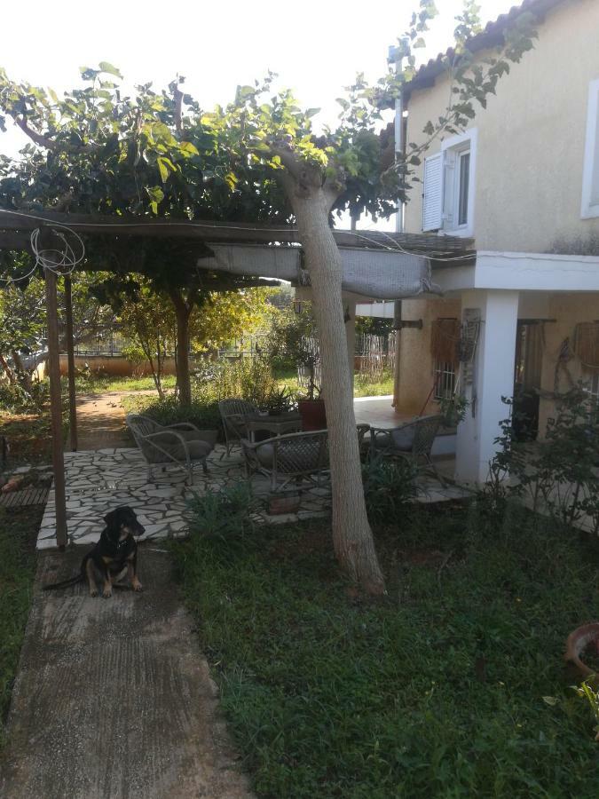 Country Rooms Near Athens - Airport Vravrona Exterior photo