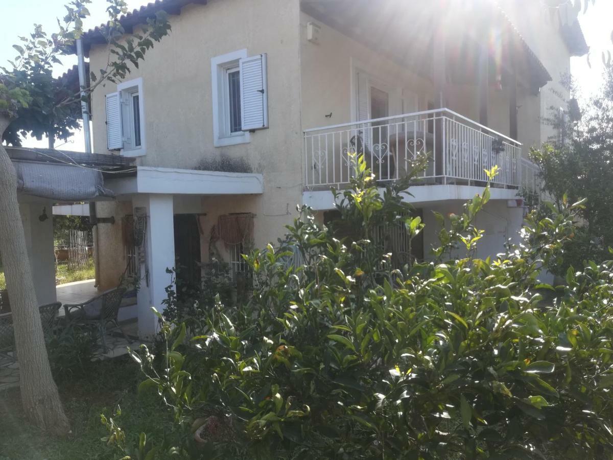 Country Rooms Near Athens - Airport Vravrona Exterior photo